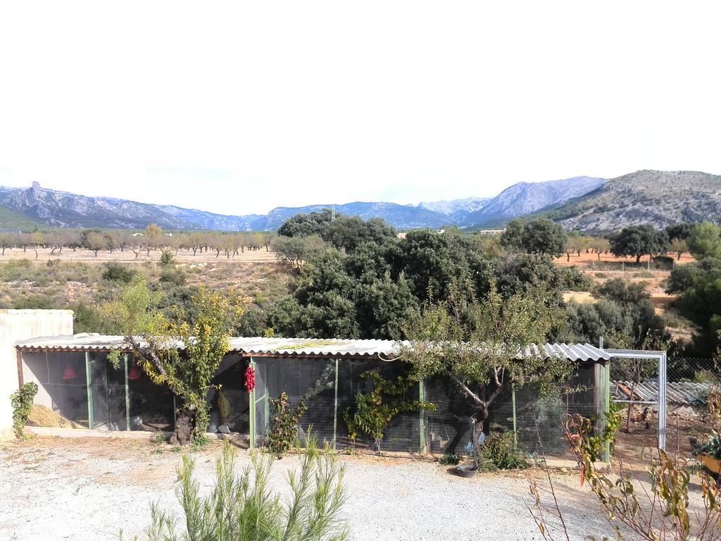 Cabanas Cortijo El Helao Pozo Alcón Buitenkant foto
